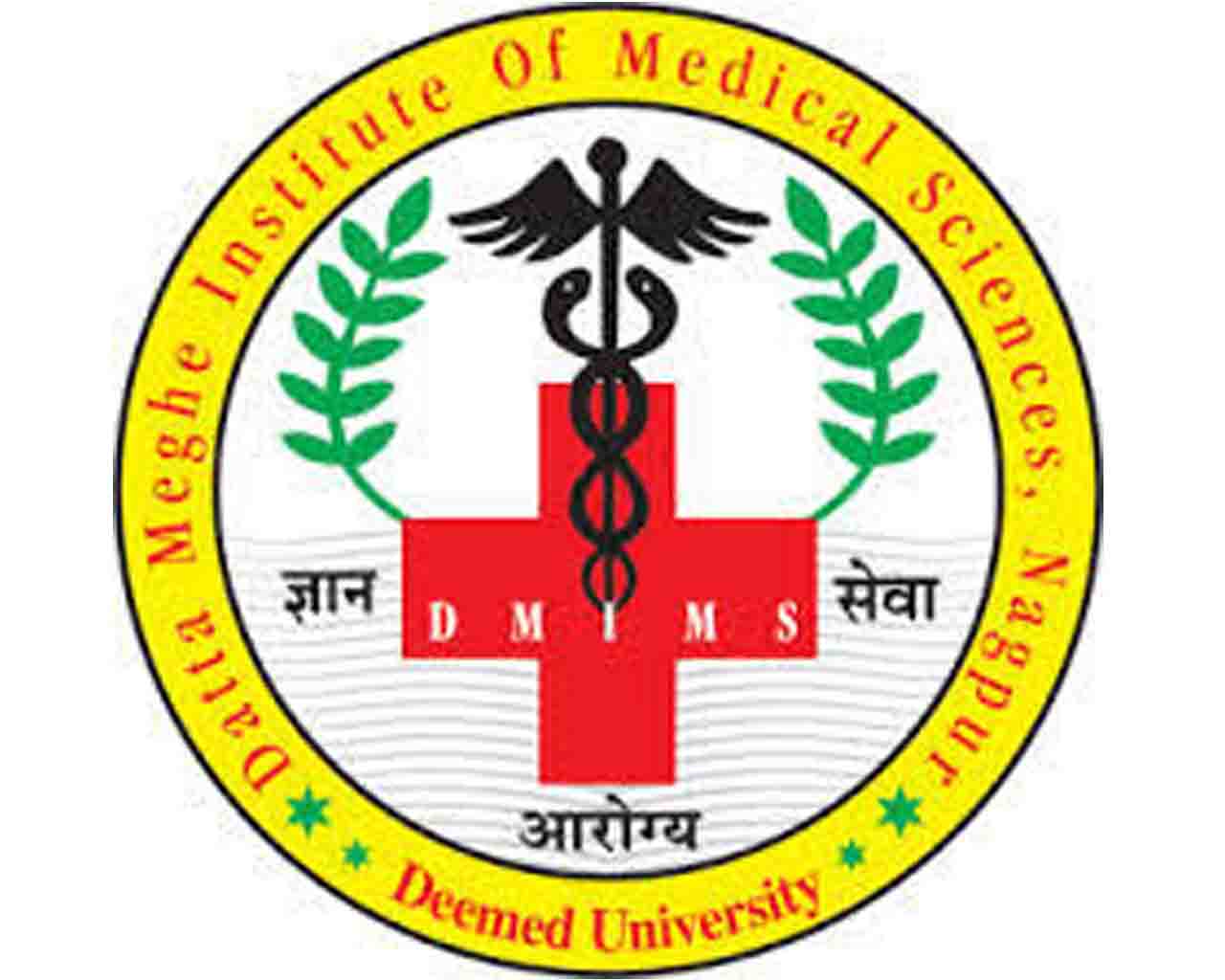 Datta Megha Institute of Medical Sciences Wardha